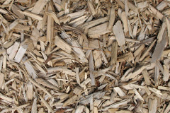 biomass boilers Gendros